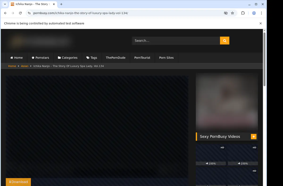 Pornbusy Video Downloader screenshot 2