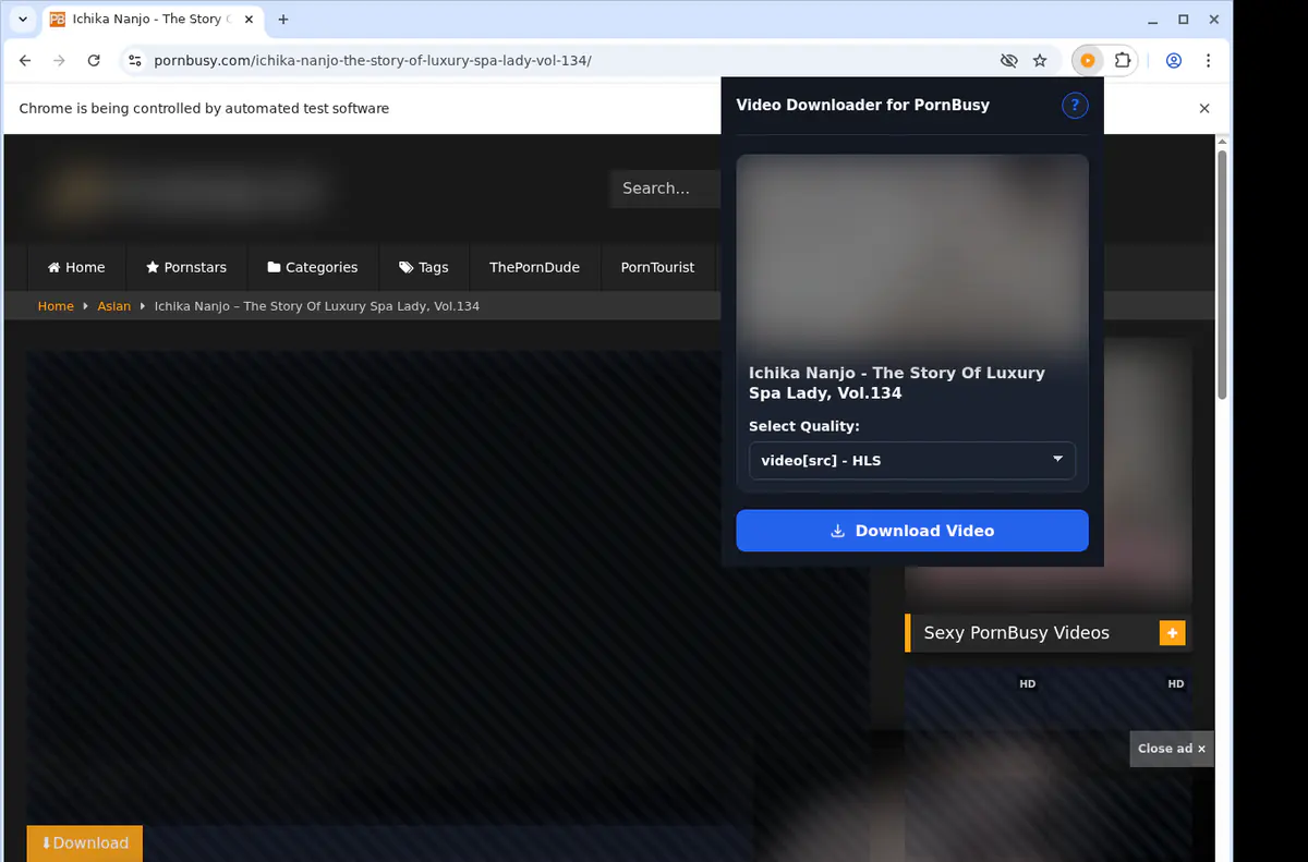 Pornbusy Video Downloader screenshot 3